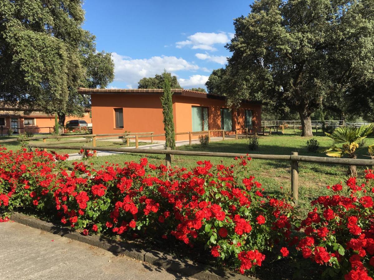 Finca Casaes Apartamentos Torralba de Oropesa Exterior foto